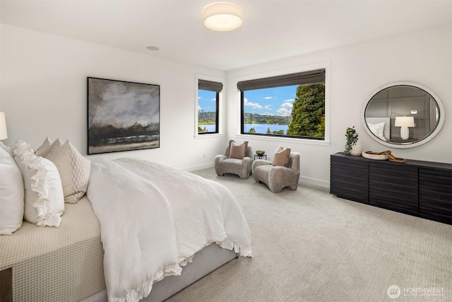 3865 46th Ave NE, Seattle, WA 98105 - carpeted bedroom with baseboards and a water view