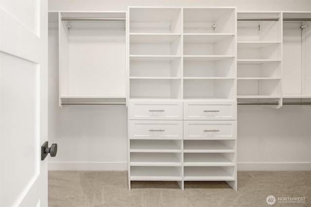 3865 46th Ave NE, Seattle, WA 98105 - spacious closet with carpet floors