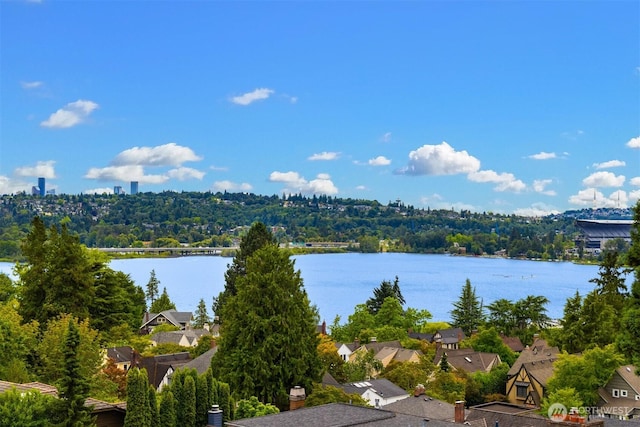 3865 46th Ave NE, Seattle, WA 98105 - drone / aerial view of a nearby body of water