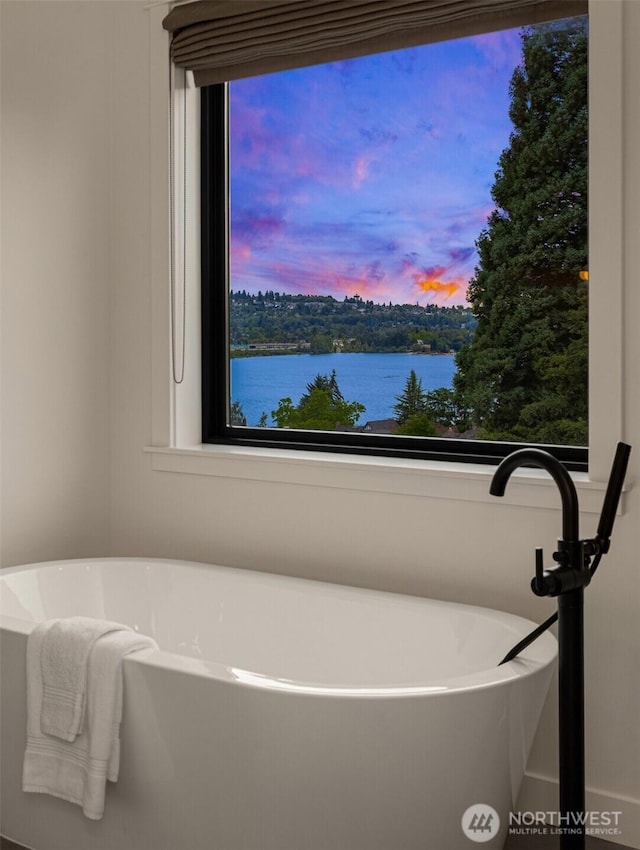 3865 46th Ave NE, Seattle, WA 98105 - bathroom featuring healthy amount of natural light, a soaking tub, and a water view