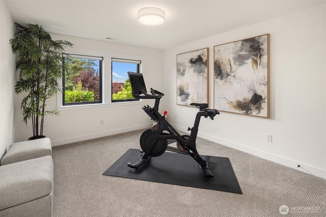 3865 46th Ave NE, Seattle, WA 98105 - exercise area with carpet and baseboards