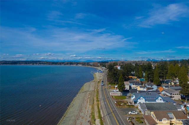 4824 Willow Dr, Blaine, WA 98230 - water view