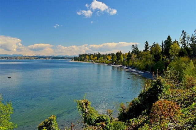 4824 Willow Dr, Blaine, WA 98230 - water view