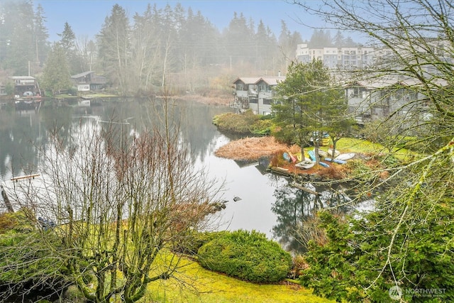 19428 Aurora Ave N Unit 433, Shoreline, WA 98133 - photo 2