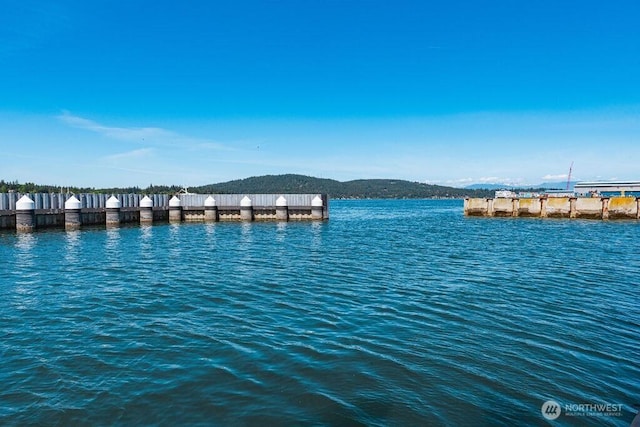 1600 5th St Unit D-162, Anacortes, WA 98221 - water view featuring a boat dock
