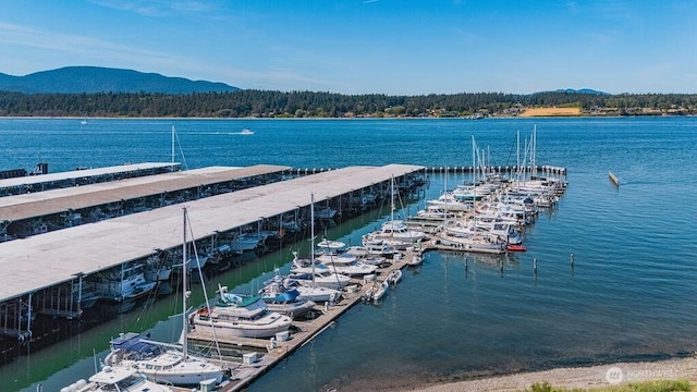 1600 5th St Unit D-162, Anacortes, WA 98221 - dock area featuring a water and mountain view, a view of trees, and view of marina