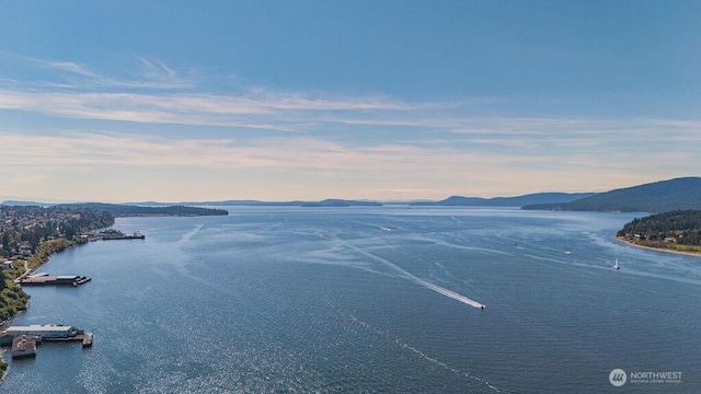 1600 5th St Unit D-162, Anacortes, WA 98221 - water view with mountains