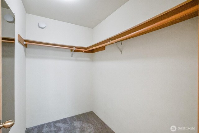 2708 106th Dr NE, Lake Stevens, WA 98258 - photo 28