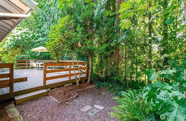 2708 106th Dr NE, Lake Stevens, WA 98258 - photo 33