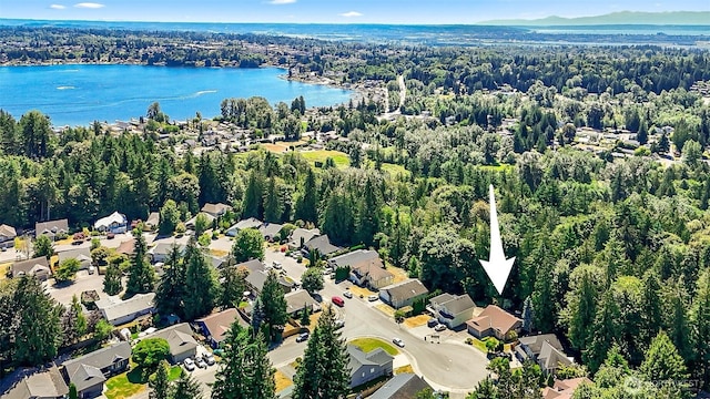 2708 106th Dr NE, Lake Stevens, WA 98258 - photo 38