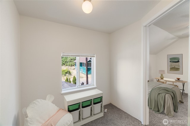 812 Duffy St, Aberdeen, WA 98520 - sitting room featuring carpet floors and lofted ceiling