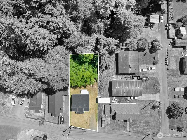 812 Duffy St, Aberdeen, WA 98520 - aerial overview of property's location featuring property parcel outlined