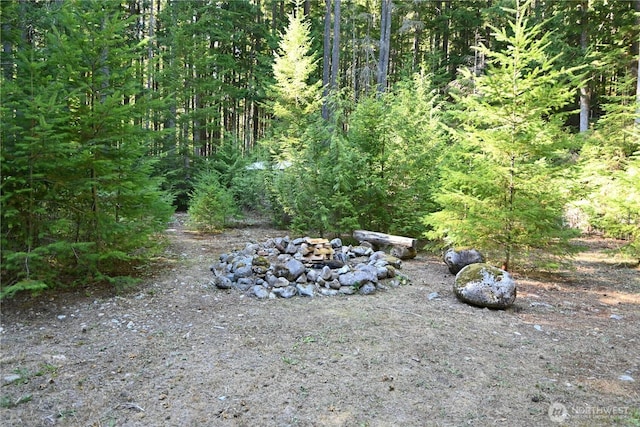 59511 Silver Creek Way, Sultan, WA 98294 - photo 22