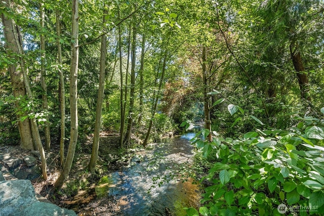 9822 NE 122nd St Unit U201, Kirkland, WA 98034 - view of nature