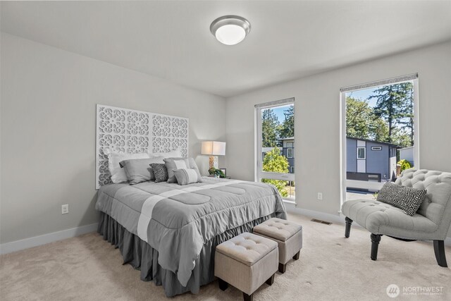23422 26th Ave SE, Bothell, WA 98021 - bedroom with carpet floors