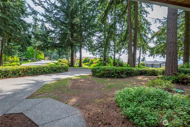 6301 Sahalee Ct, Clinton, WA 98236 - photo 4