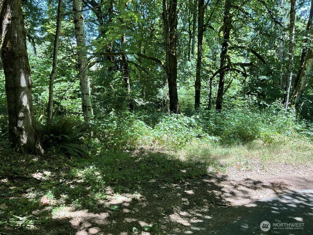 0LOT13 E Peyton Pl, Shelton, WA 98584