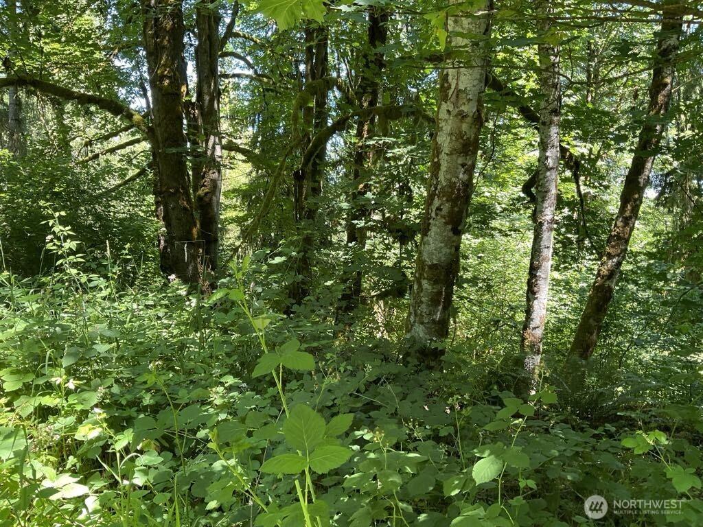 0LOT13 E Peyton Pl, Shelton, WA 98584