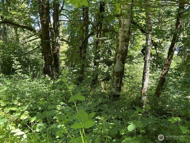 0LOT13 E Peyton Pl, Shelton, WA 98584