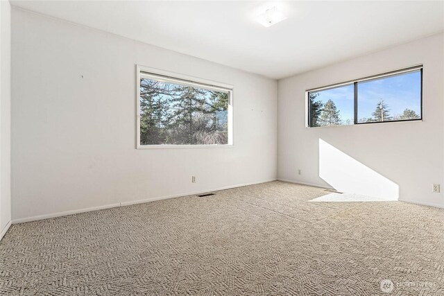 3884 Fort Bellingham Rd, Bellingham, WA 98225 - photo 17