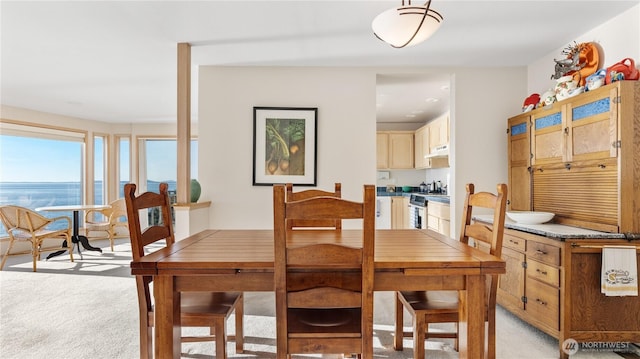 2377 W Beach Rd, Oak Harbor, WA 98277 - photo 8