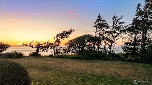 2377 W Beach Rd, Oak Harbor, WA 98277 - photo 39