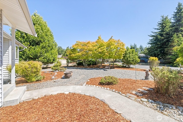 50 Steve Pl, Sequim, WA 98382 - view of yard
