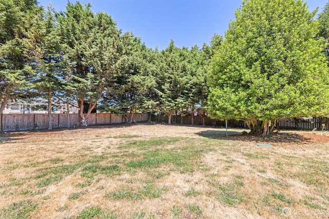 50 Steve Pl, Sequim, WA 98382 - view of fenced backyard
