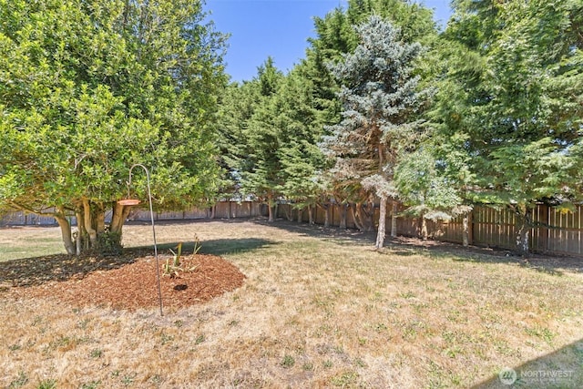 50 Steve Pl, Sequim, WA 98382 - view of fenced backyard