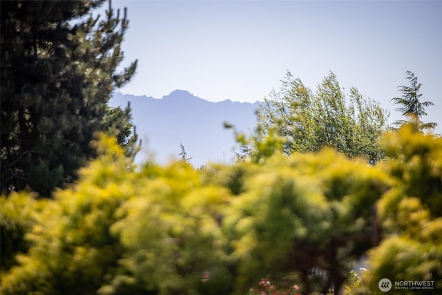 50 Steve Pl, Sequim, WA 98382 - view of mountain backdrop
