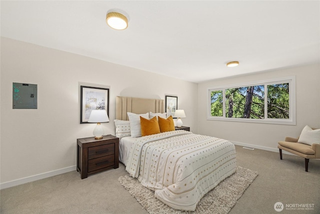 10032 35th Ave NE, Seattle, WA 98125 - bedroom featuring electric panel and carpet flooring