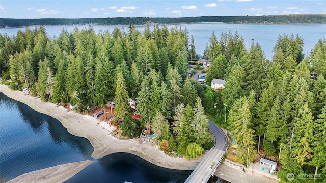 90 E Treasure Island Dr, Allyn, WA 98524 - photo 2