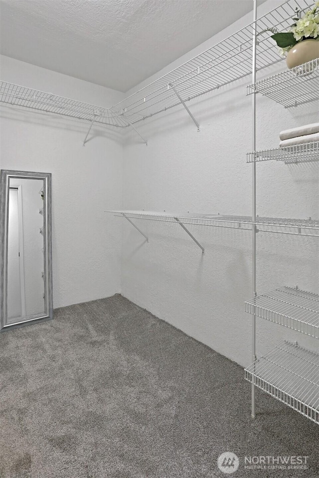 8517 242nd St SW Unit 205A, Edmonds, WA 98026 - photo 19