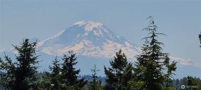 16020 7th Ave SW, Burien, WA 98166 - photo 3