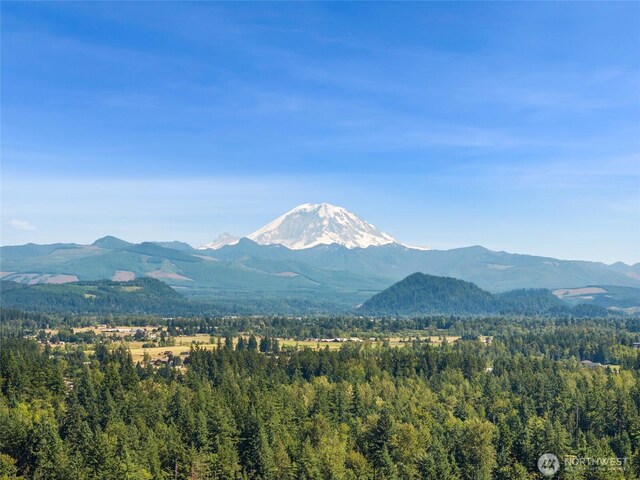 24537 SE 384th St, Enumclaw, WA 98022 - photo 40