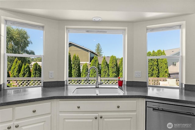 209 4th Ave N, Algona, WA 98001 - kitchen with stainless steel dishwasher, dark countertops, and plenty of natural light