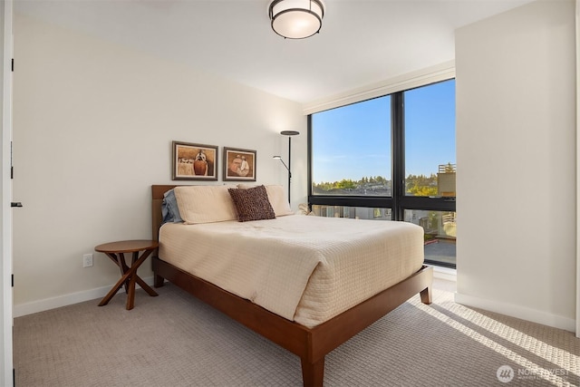 330 3rd Ave S Unit C, Kirkland, WA 98033 - bedroom featuring baseboards and carpet floors