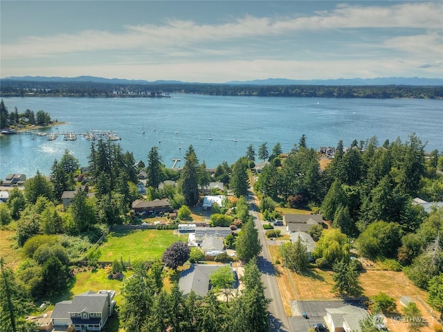 541 75th Way NE, Olympia, WA 98506 - bird's eye view of a water and mountain view