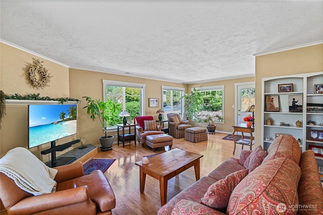 541 75th Way NE, Olympia, WA 98506 - living area with a textured ceiling, wood finished floors, and crown molding