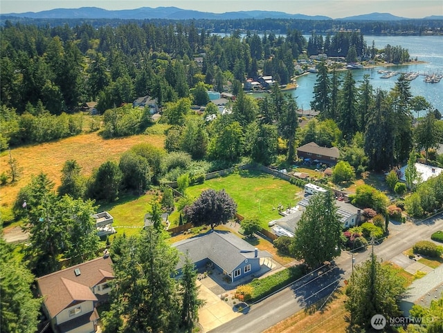 541 75th Way NE, Olympia, WA 98506 - drone / aerial view of a water and mountain view