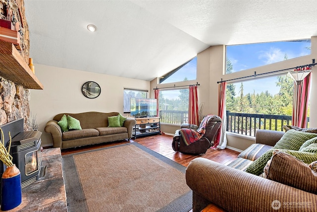 21410 SE 265th Pl, Maple Valley, WA 98038 - living area with a wood stove, vaulted ceiling, and dark wood finished floors