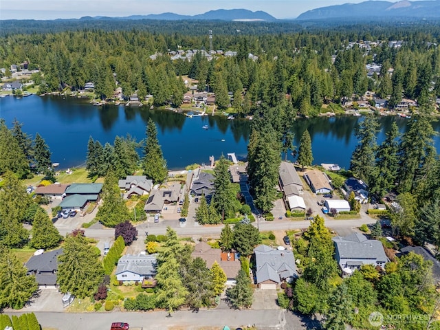 21410 SE 265th Pl, Maple Valley, WA 98038 - view of property location with a water and mountain view and nearby suburban area