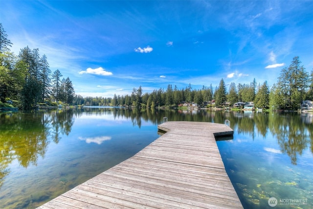 21410 SE 265th Pl, Maple Valley, WA 98038 - dock area with a water view and a wooded view