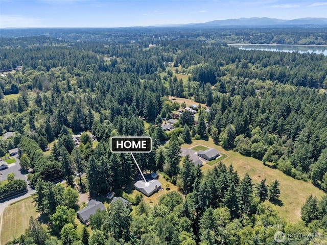5414 70th Ave NE, Olympia, WA 98516 - aerial view of property and surrounding area featuring a heavily wooded area and mountains