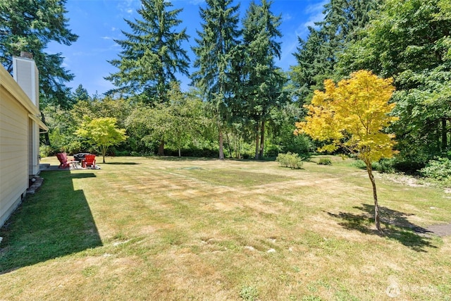 5414 70th Ave NE, Olympia, WA 98516 - view of grassy yard