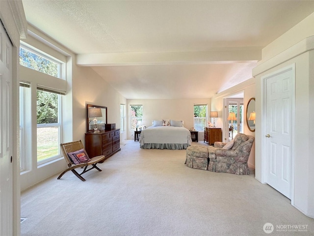 77 A Rd, Less Traveled, Sequim, WA 98382 - bedroom featuring carpet floors and multiple windows