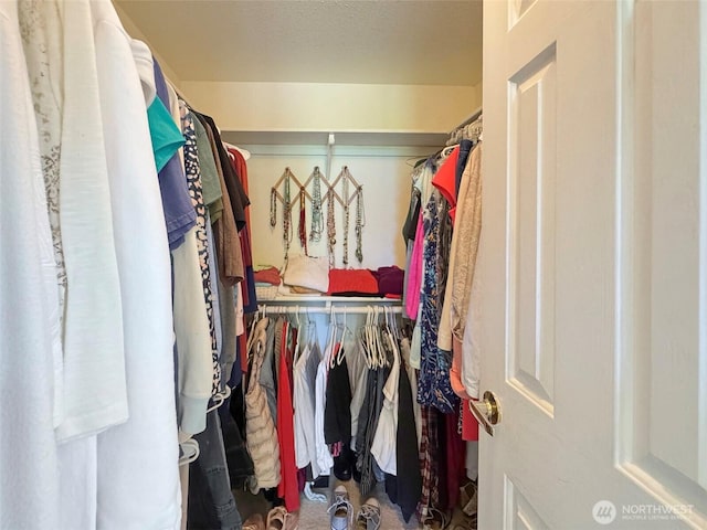 77 A Rd, Less Traveled, Sequim, WA 98382 - walk in closet featuring carpet