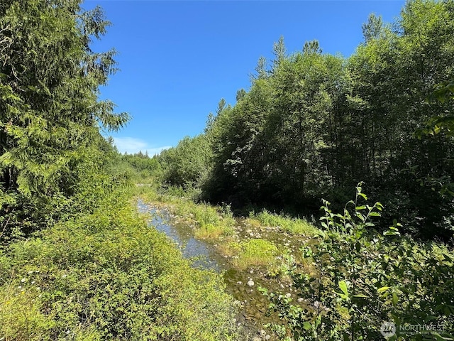 77 A Rd, Less Traveled, Sequim, WA 98382 - view of tree filled area