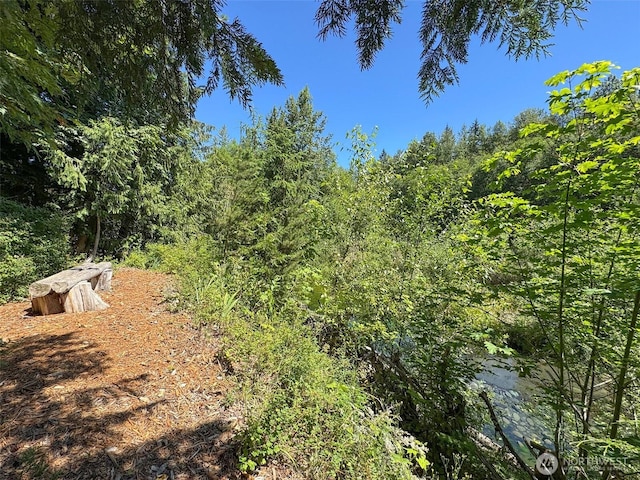 77 A Rd, Less Traveled, Sequim, WA 98382 - view of tree filled area
