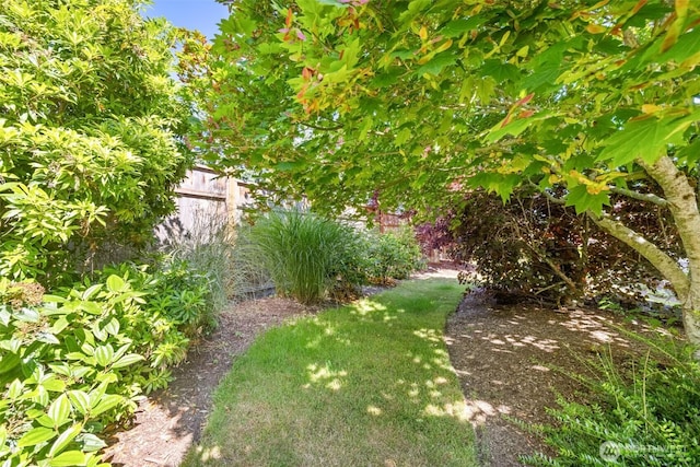 2512 Columbus Ave, Port Angeles, WA 98362 - view of yard